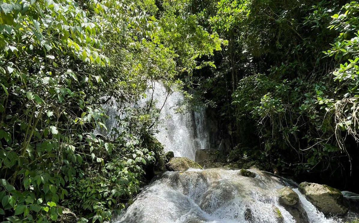 WhatsApp Image 2025 09 29 At 5.57.00 PM E1759358400647