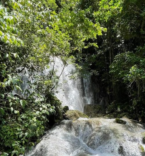 WhatsApp Image 2025 09 29 At 5.57.00 PM E1759358400647 Rcl5b9kgpqe9e3mqkoz1hld0m5ngfspbx1sho4rfa0